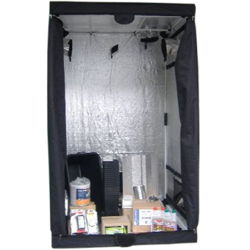 Vision of Hemp 3 Pflanzen Sparset (80x80)