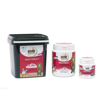 BioTabs Bactrex - 250g