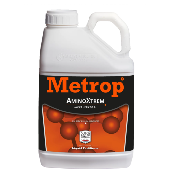 Metrop AminoXtrem - 5L