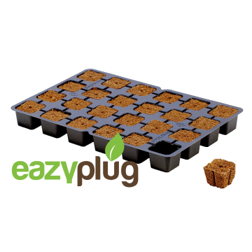 Eazy Plug Anzuchtwürfel CT24 - 24Stk