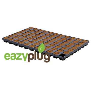 Eazy Plug Anzuchtwürfel CT77 - 77Stk