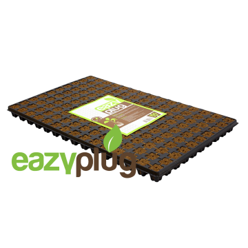 Eazy Plug Anzuchtwürfel CT150 - 150Stk