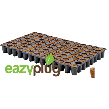 Eazy Plug Anzuchtwürfel CT104C - 104Stk