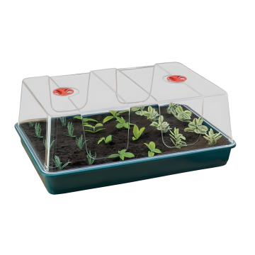 Garland XL High Dome Propagator Zimmer-Gewächshaus - 58x40x22.5cm