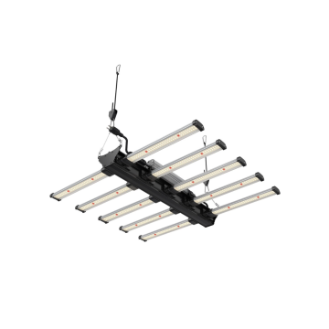 Future of Grow Black Series 320