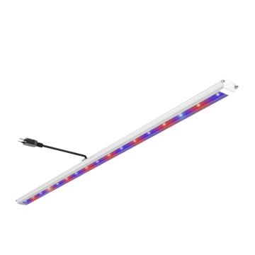 Future of Grow Boost UVA+UVB+IR