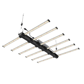 Future of Grow Black Series 600