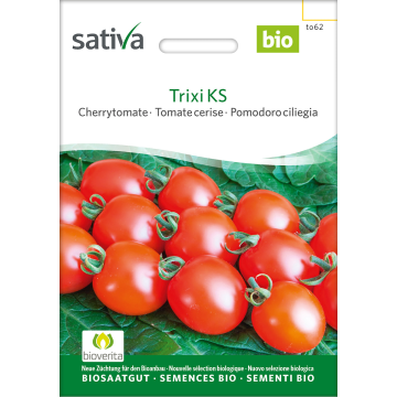 Sativa Trixi KS – Cherrytomate Bio