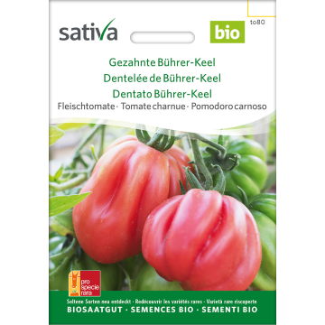 Sativa Gezahnte Bührer-Keel – Fleischtomate Bio