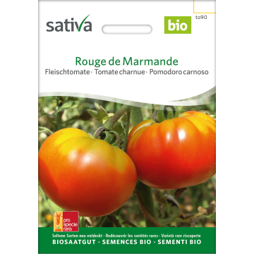 Sativa Rouge de Marmande – Fleischtomate Bio