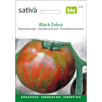 Sativa Black Zebra – Fleischtomate Bio