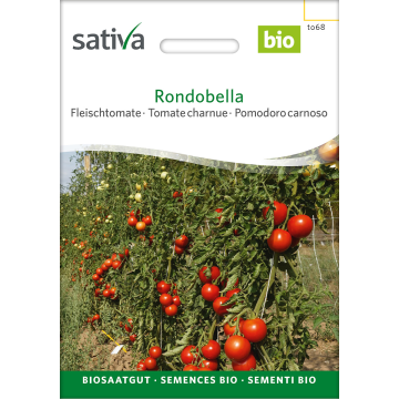 Sativa Rondobella – Fleischtomate Bio