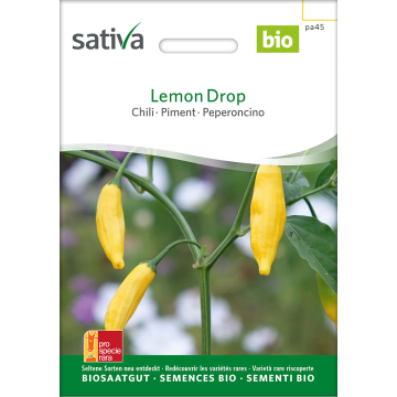 Sativa Lemon Drop – Chilli Bio