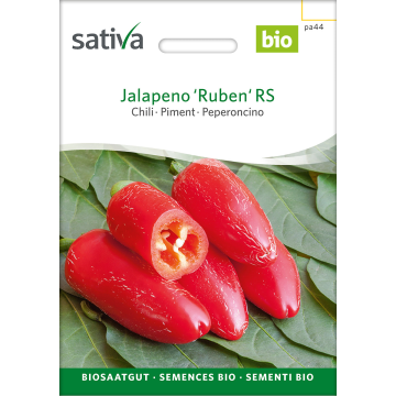 Sativa Jalapeño 'Ruben' RS – Chilli Bio