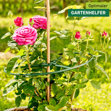 Windhager Pflanzenring 40 cm – 3er-Set zur Stabilisierung und Wuchsführung