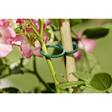 Windhager Ringbinder – 25-teiliges Set zur flexiblen Pflanzenfixierung