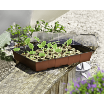 Windhager Fensterbank-Treibhaus Maxi mit 24 Quelltabs – Perfektes Starter-Set für die Anzucht