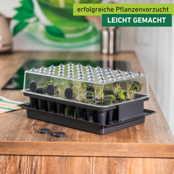 Windhager Wurzelvorschule RootXtender – Das smarte Zimmergewächshaus für starke Pflanzenwurzeln