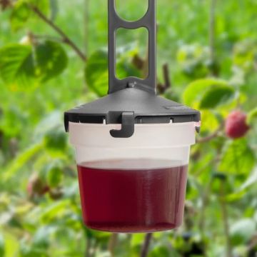 Andermatt Biogarten Drosal Pro Kirschessigfliegen-Falle - Set mit 5 Fallen & 1L Lockstoff