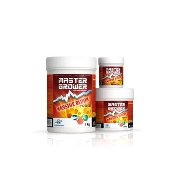 Hydropassion Master Grower Massive Bloom - 1kg