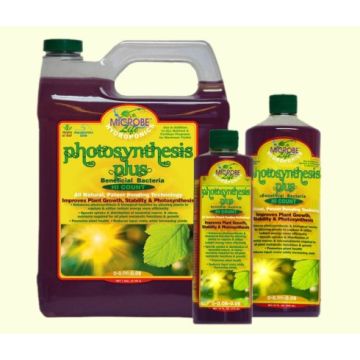 Microbe Life Hydro Photosynthesis Plus