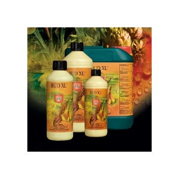 House and Garden Bud-XL - 1L