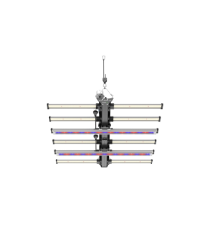 Future of Grow Black Series 400
